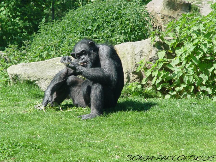 "Wassn das?!"