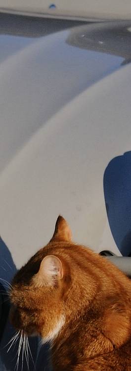 Rätselbild