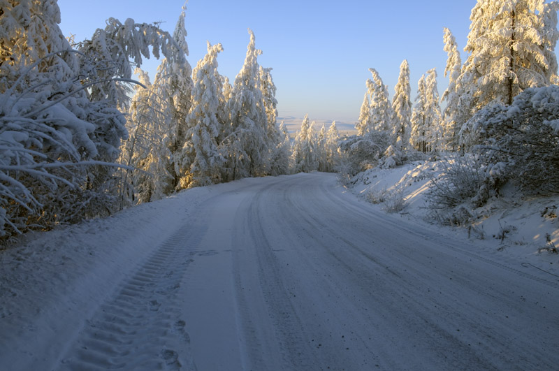 Rückreise von Oymyakon