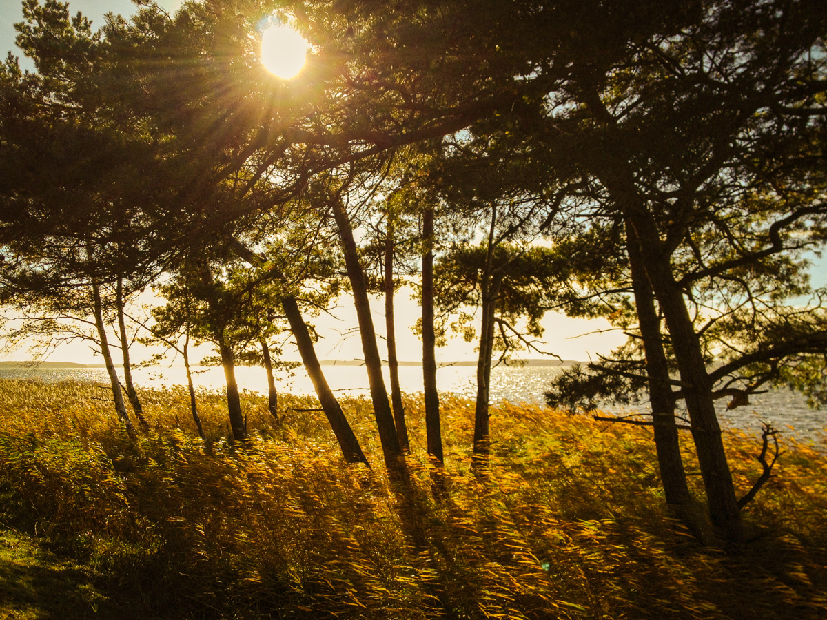 Rügen 2012