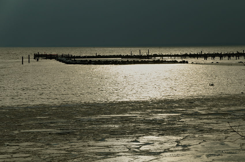 Rügen bei Putbus, 02/2009