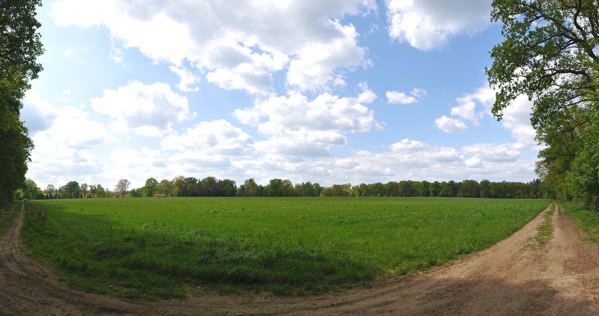 RAD_5895_5898.jpg