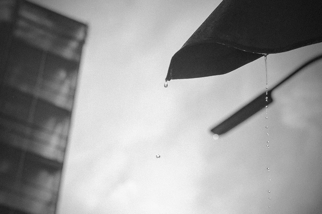 Rain NF