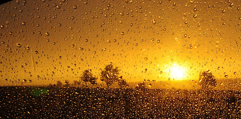 Rain1
