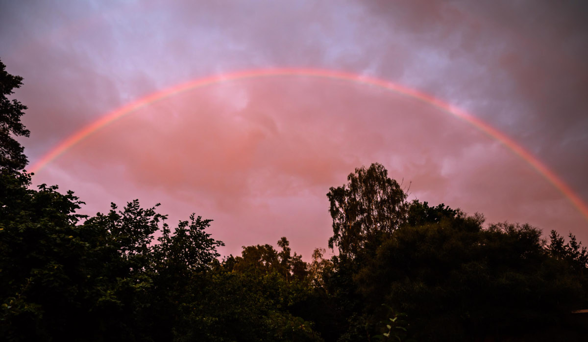 Rainbow 5-1.jpg