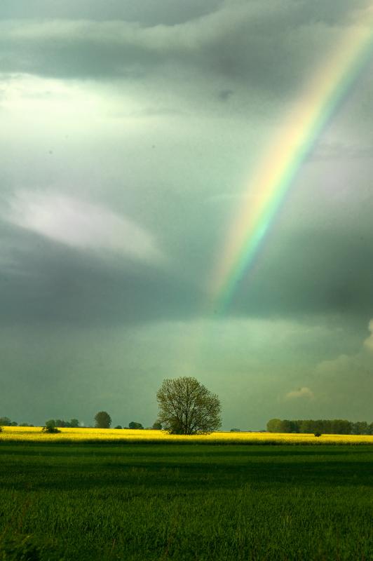 rainbow
