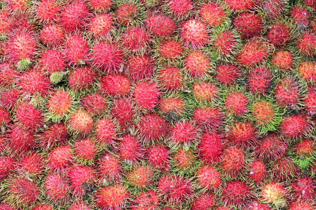 Rambutan
