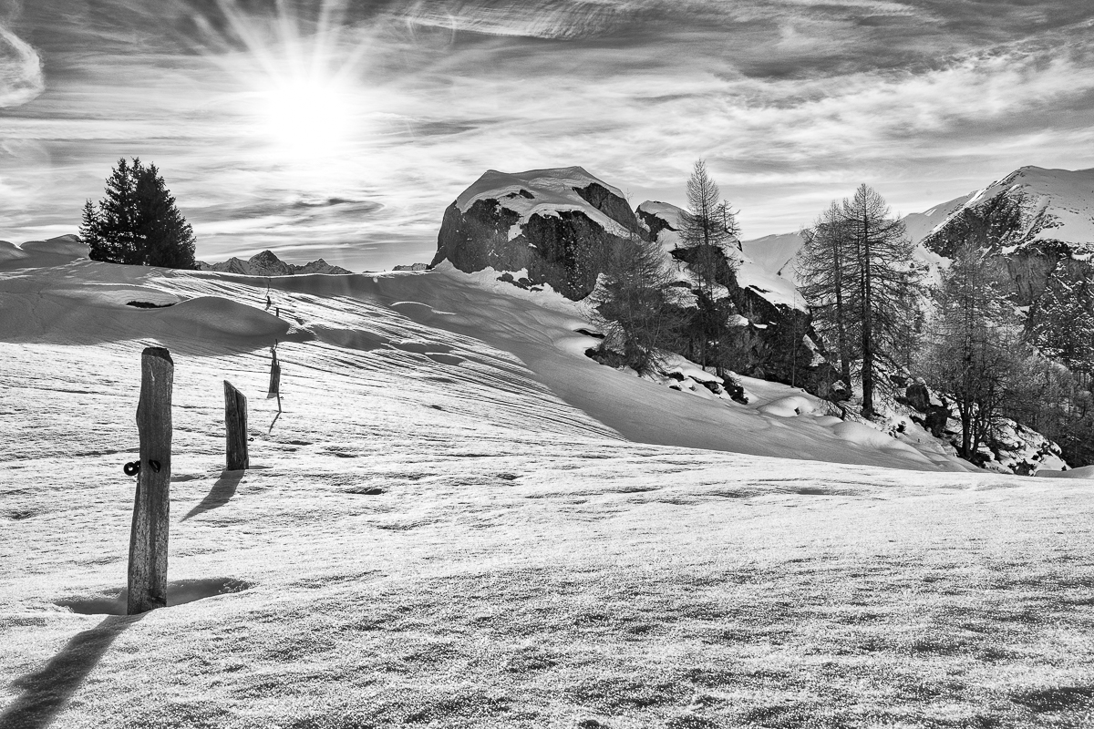 Ramsau-Scuol-Sils-9049-Bearbeitet-Bearbeitet.jpg