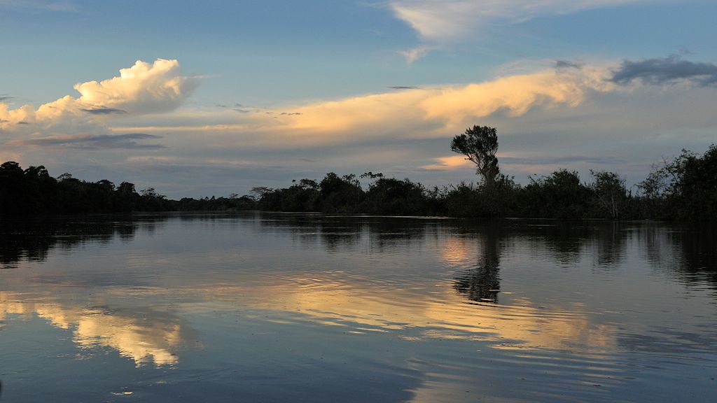 Rapununi 
bei Yupukari
6186