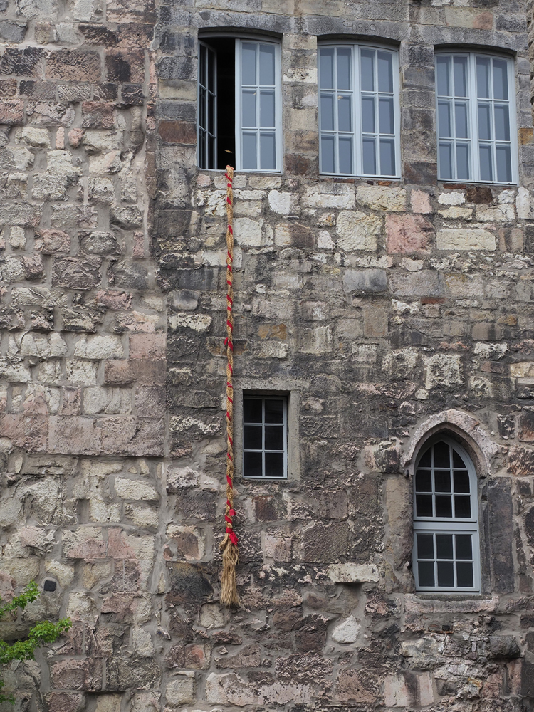 Rapunzel.jpg