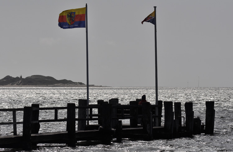 Ratebild DSC 6564