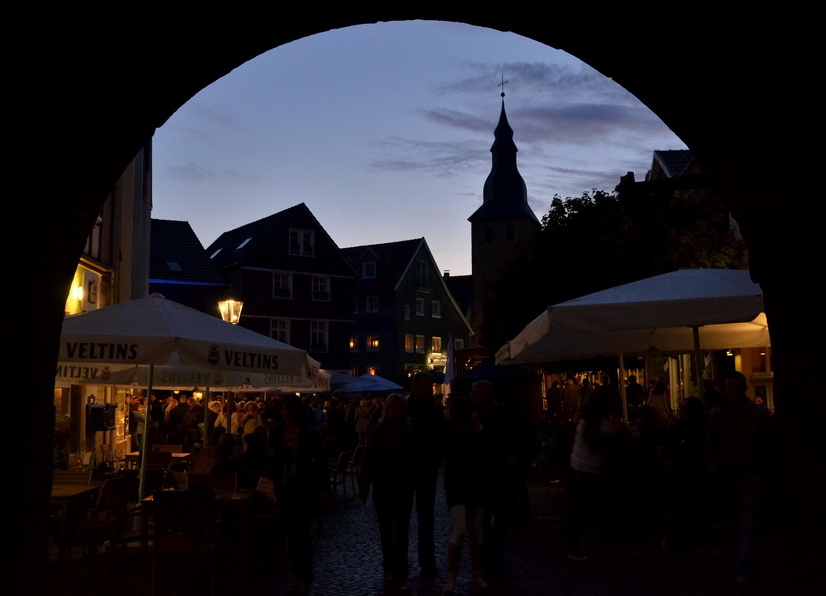 Ratebild DSE 3833