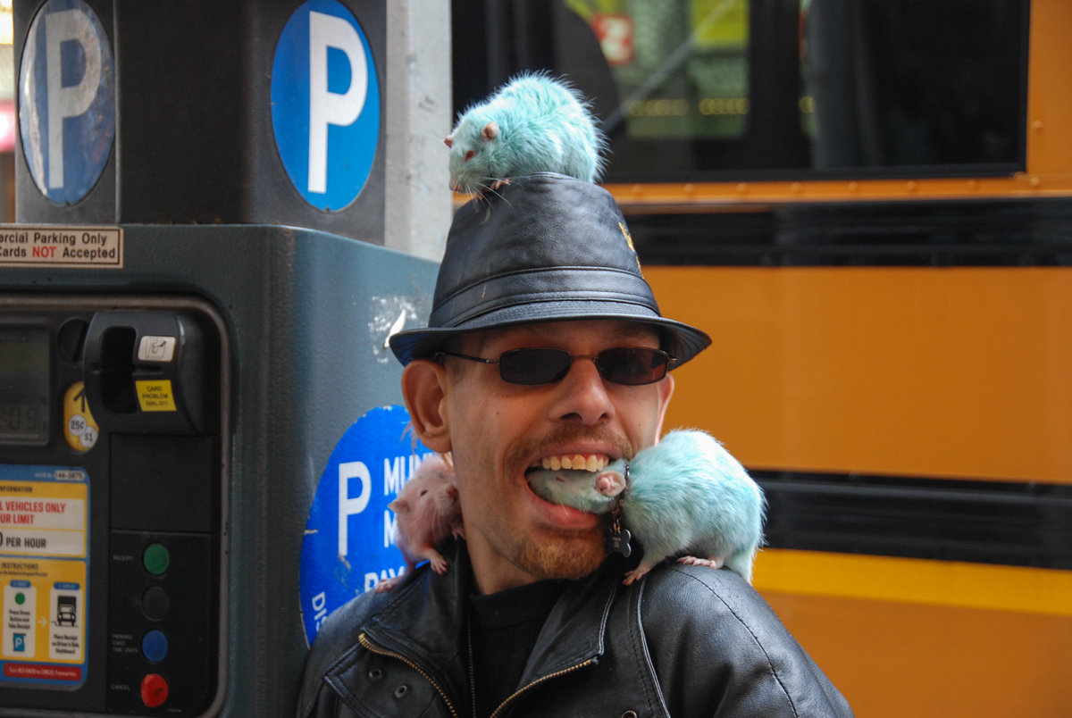 Rattenmann von Manhattan.jpg