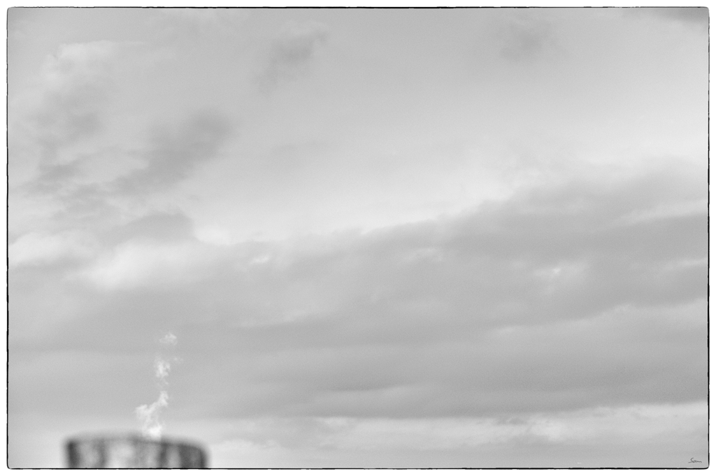 RauchDSC 8049
