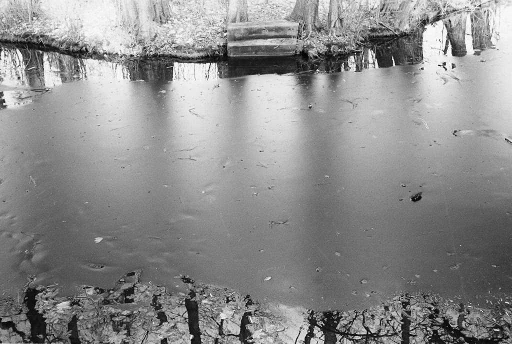 Raw 00029 34 2