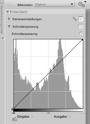 raw nicht komprimiert