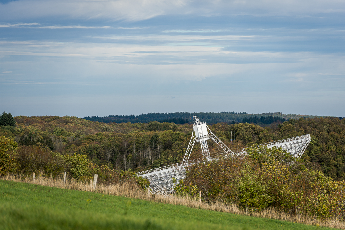 RB_221106_135618_lr.jpg