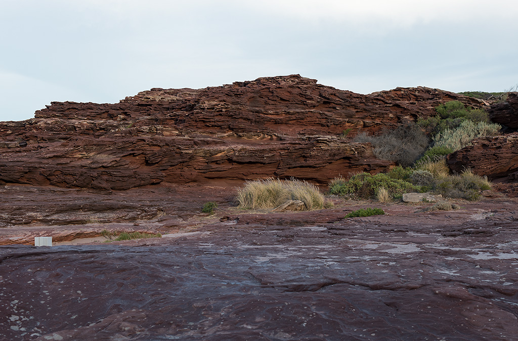red bluff8