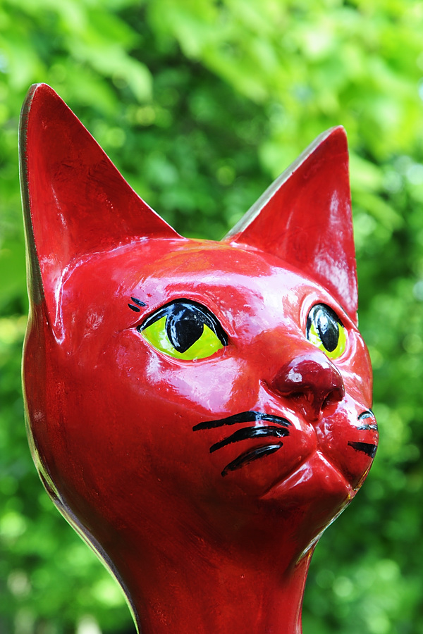 RedCat