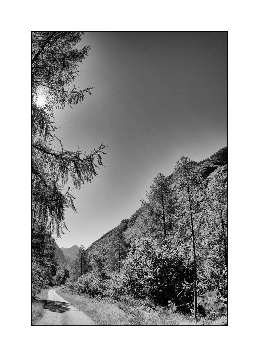 ReDSC_0524.jpg