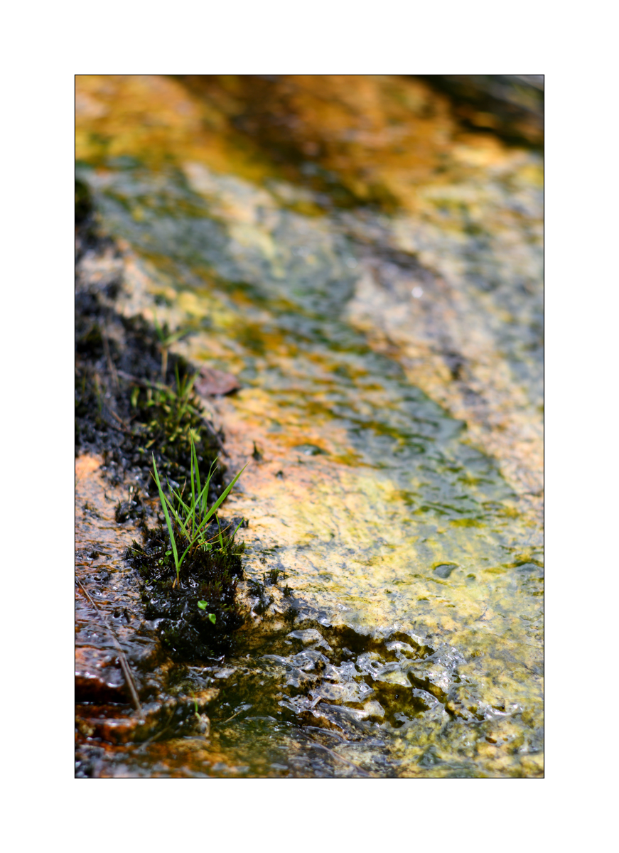 ReDSC_0722.jpg