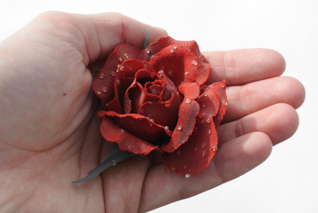 Reed Rose