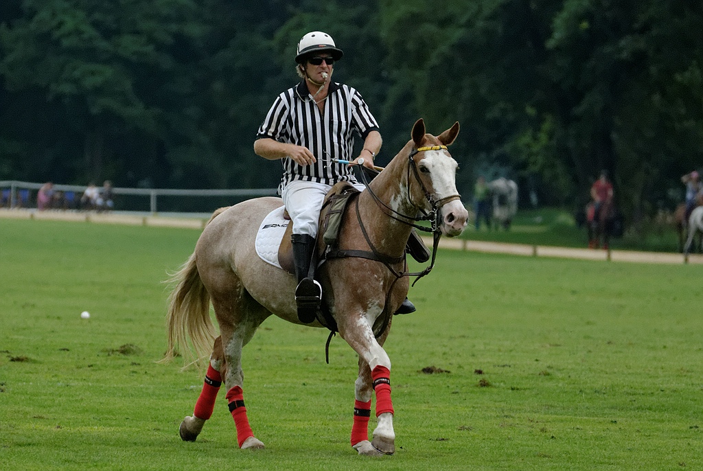 Referee II