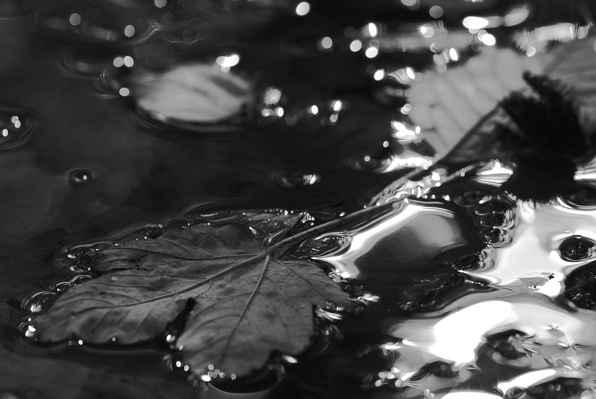Reflektion in SW