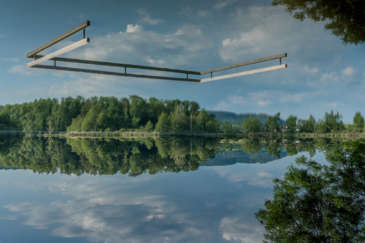 Reflexion_N813937.jpg