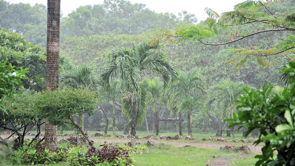 Regen
Rockview lodge, Annai
2275