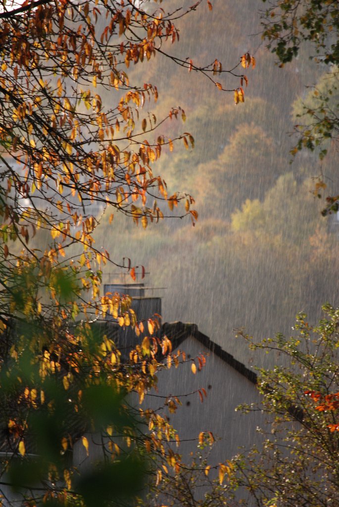 Regen und Sonne im Herbst