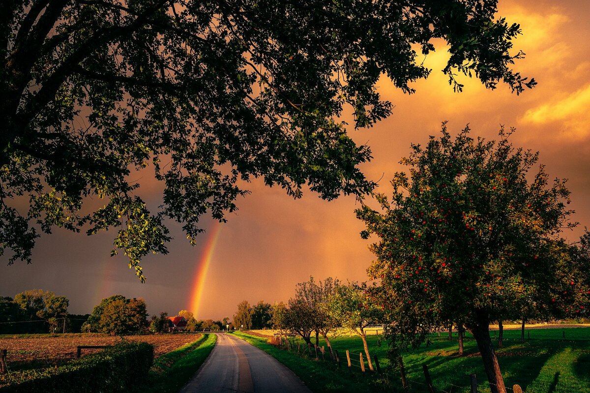 Regen
