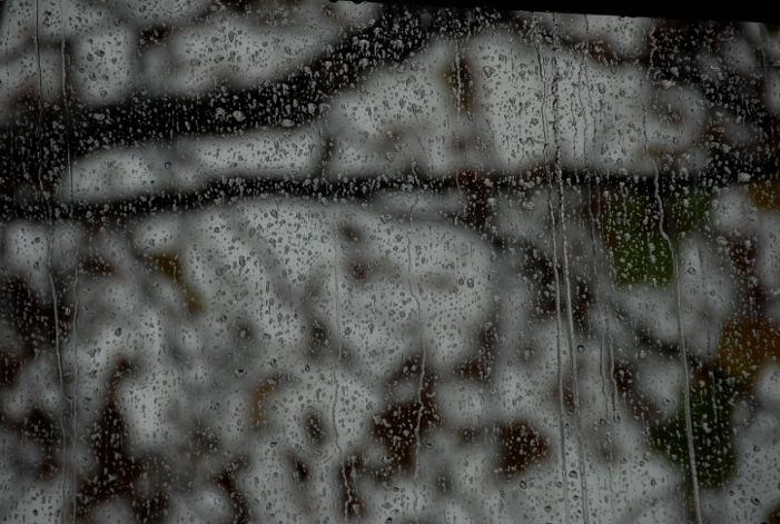 regen01w3