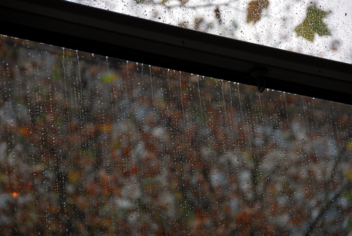 regen02w3