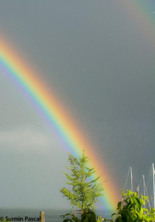 Regenbogen bei Regen