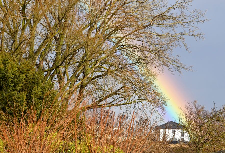 Regenbogen klein.jpg