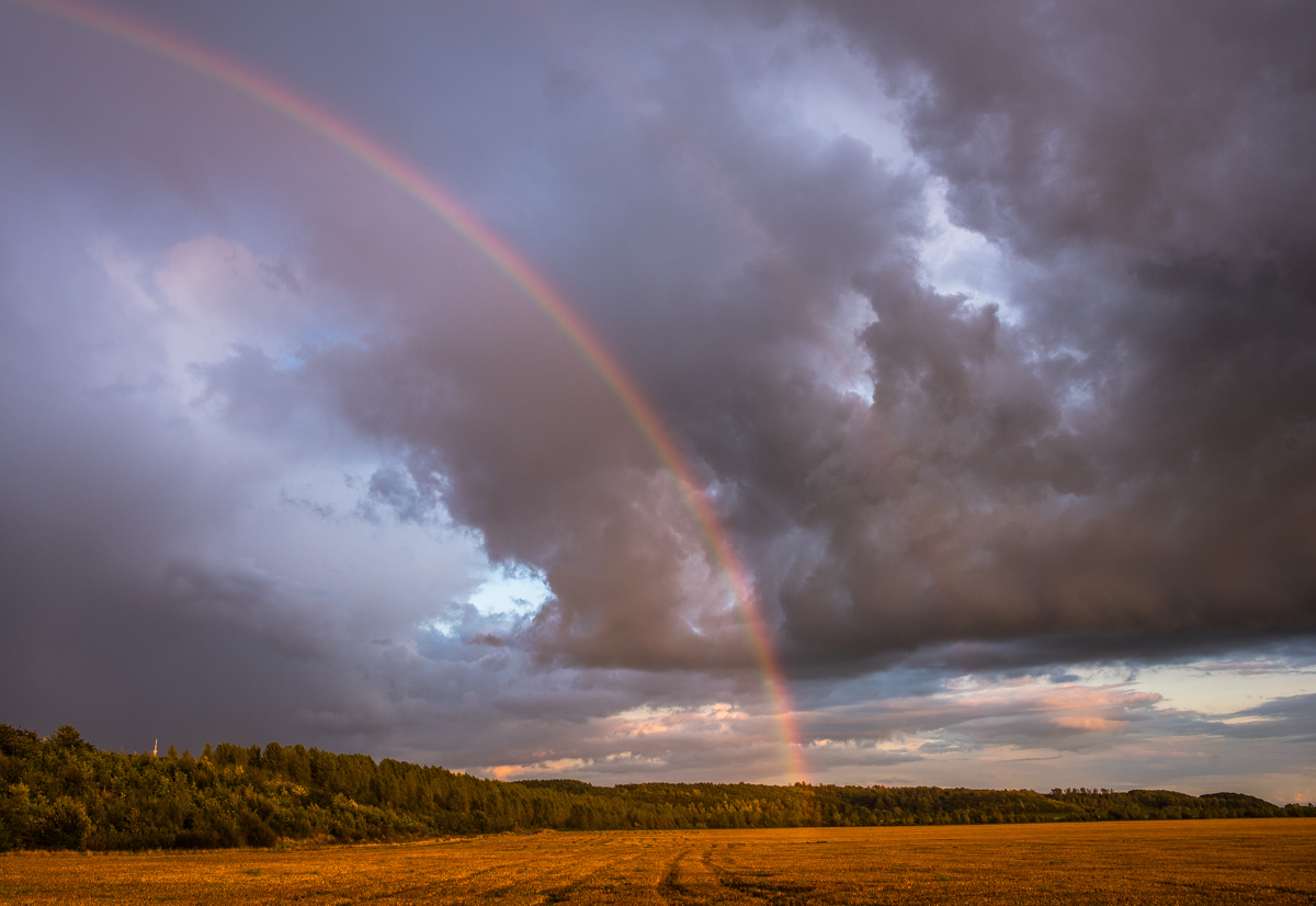 Regenbogen