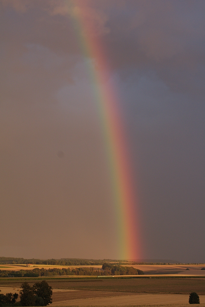 Regenbogen