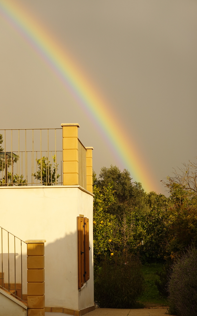 Regenbogenff.jpg