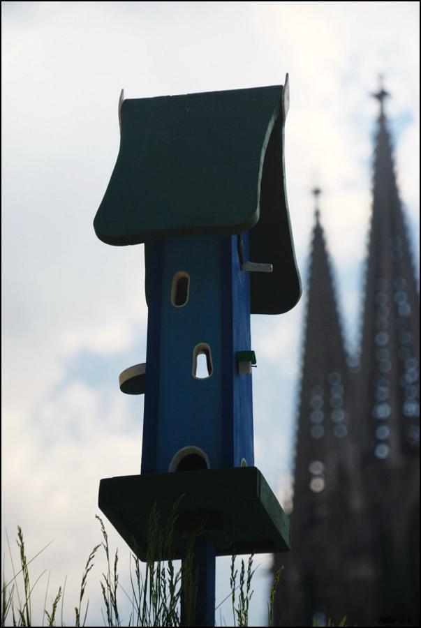 Regensburg Donau 05