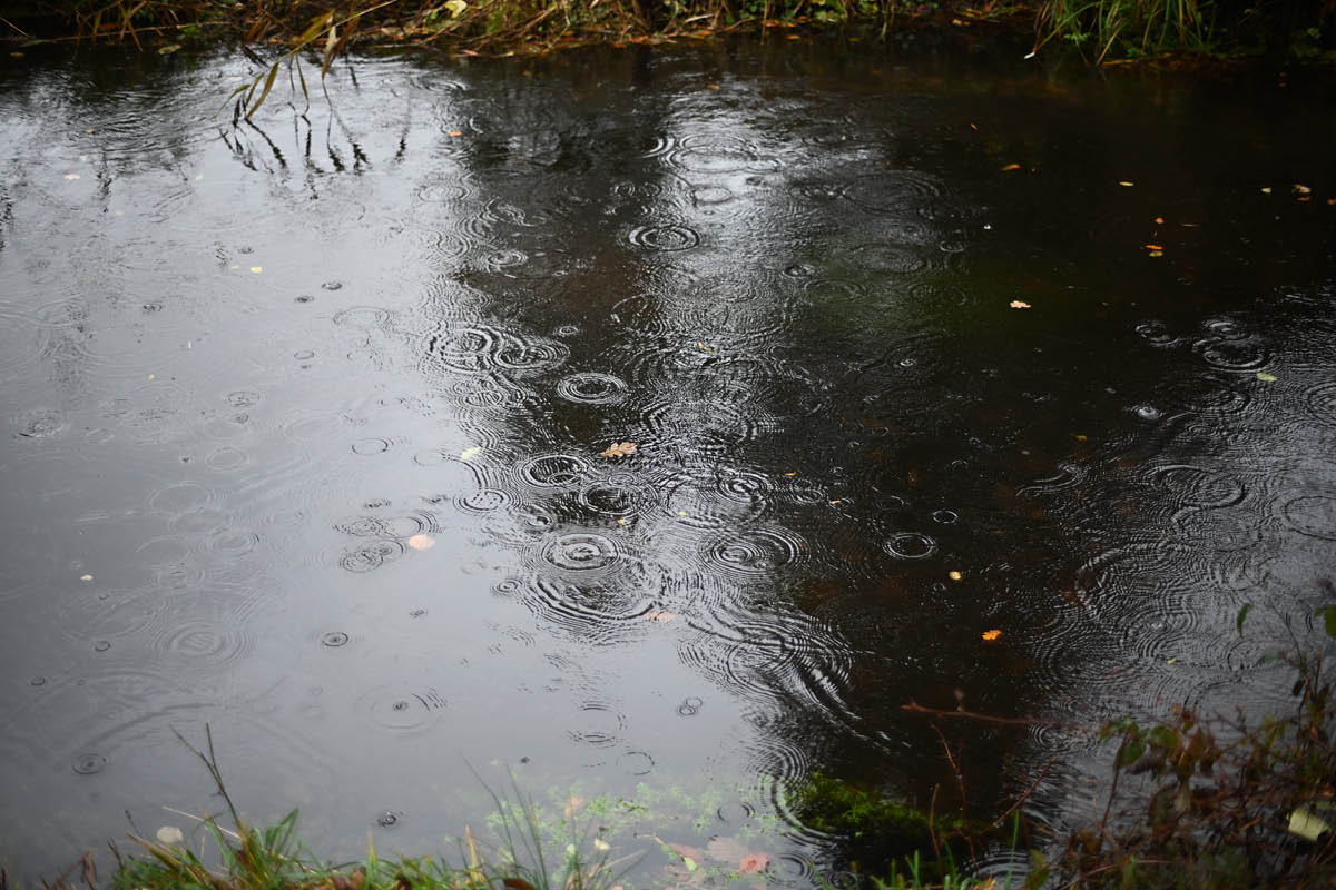 Regentropfen.jpg