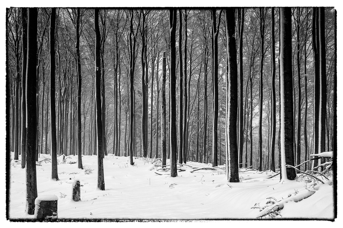 Reichental-Schwarzmiss-Schneeschuhe-3331-Bearbeitet.jpg