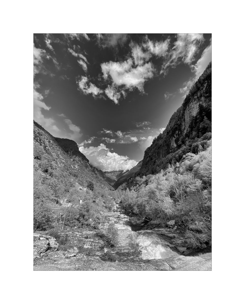 ReIIMG_2200.jpg