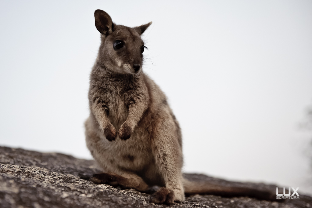 Reportage Australien 11
