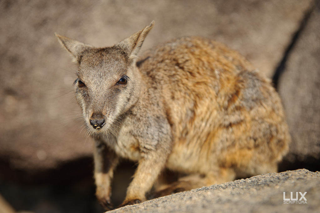 Reportage Australien 29