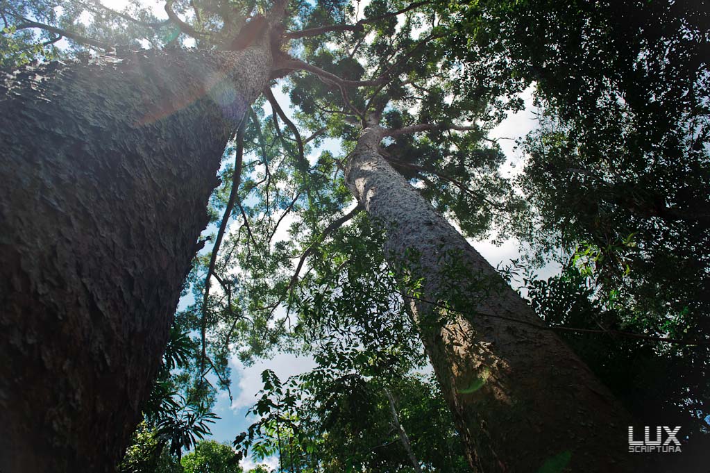 Reportage Australien 3