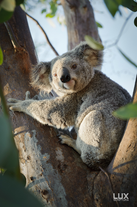 Reportage Australien 32