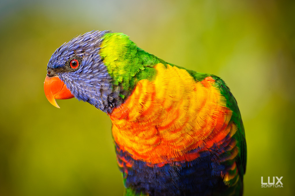 Reportage Australien 40