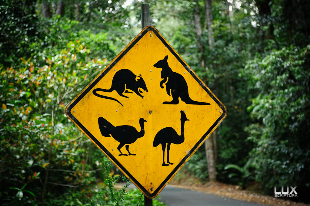 Reportage Australien 5