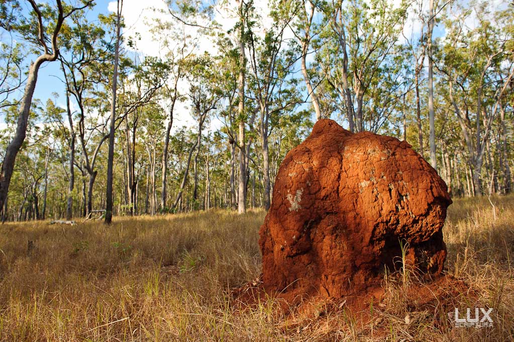 Reportage Australien 9
